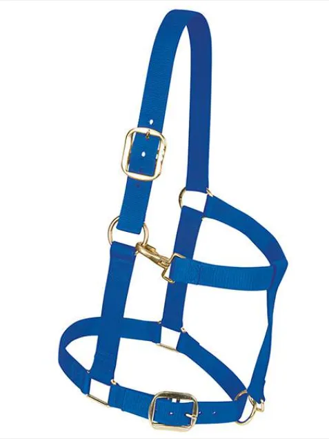 1.5" NYLON DRAFT HALTER
