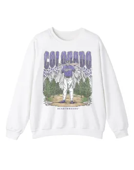 COLORADO BASEBALL