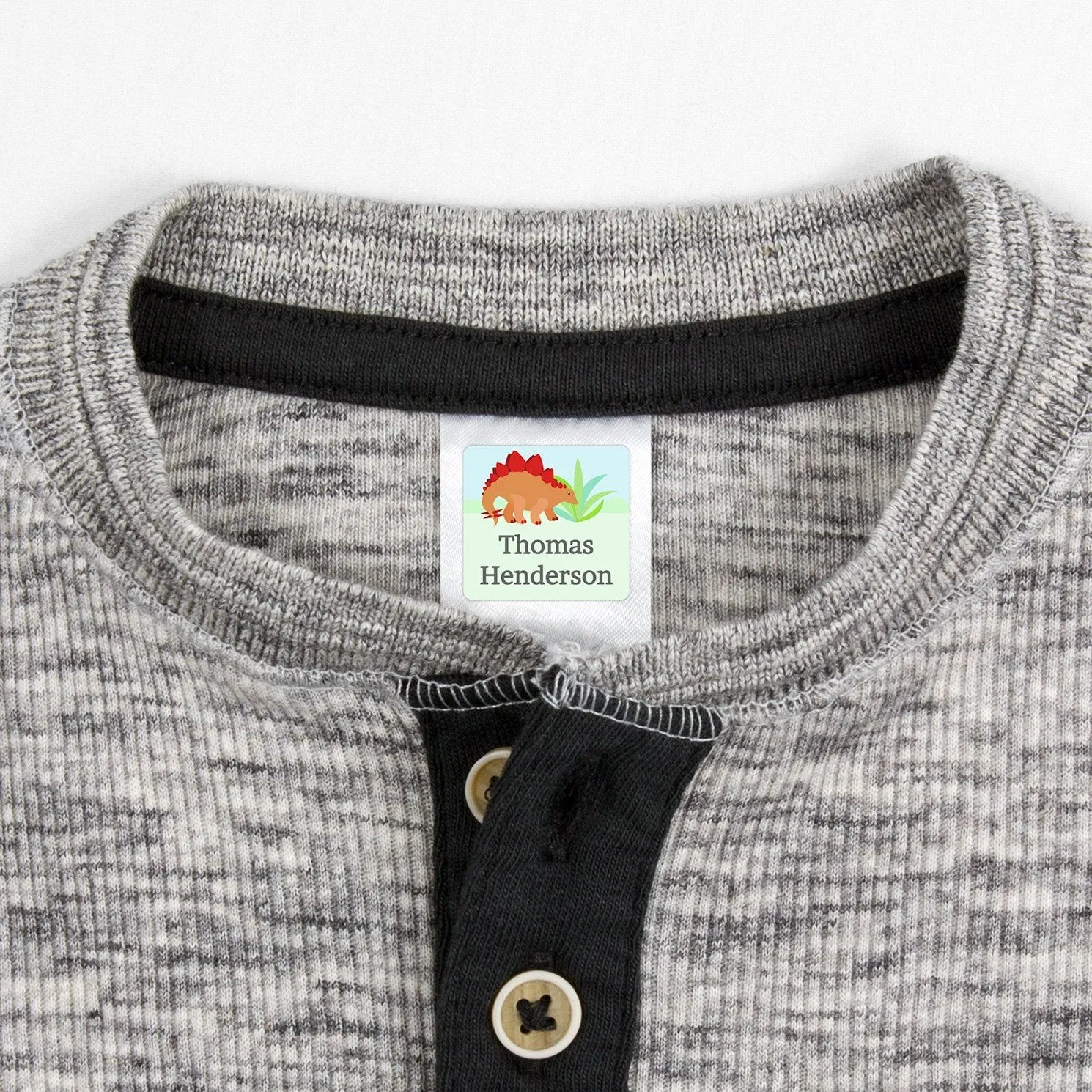 Dinosaurs Clothing Labels