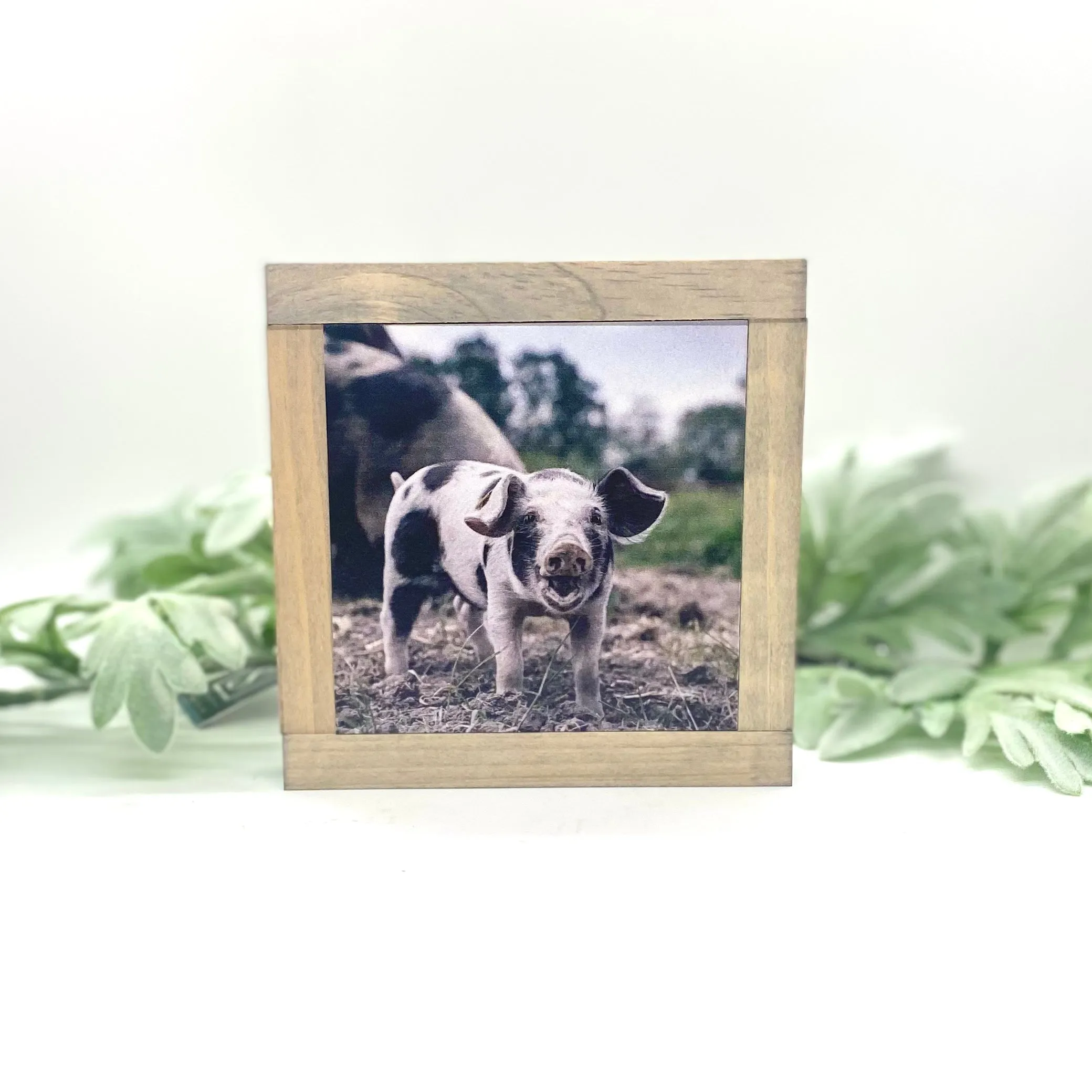 Farmhouse Animals