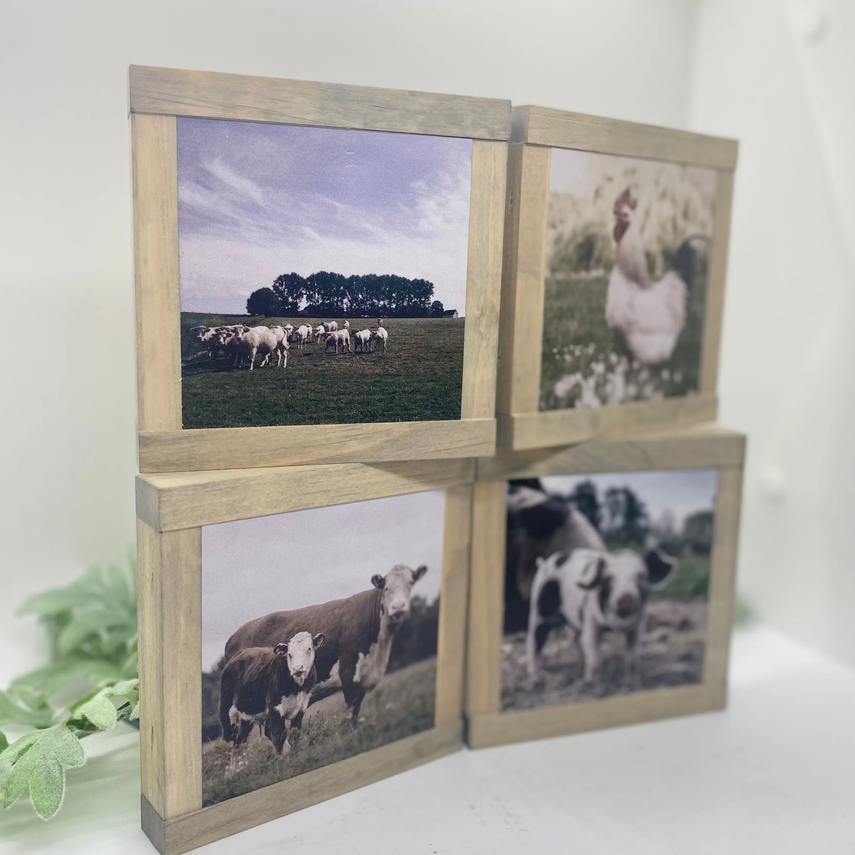 Farmhouse Animals