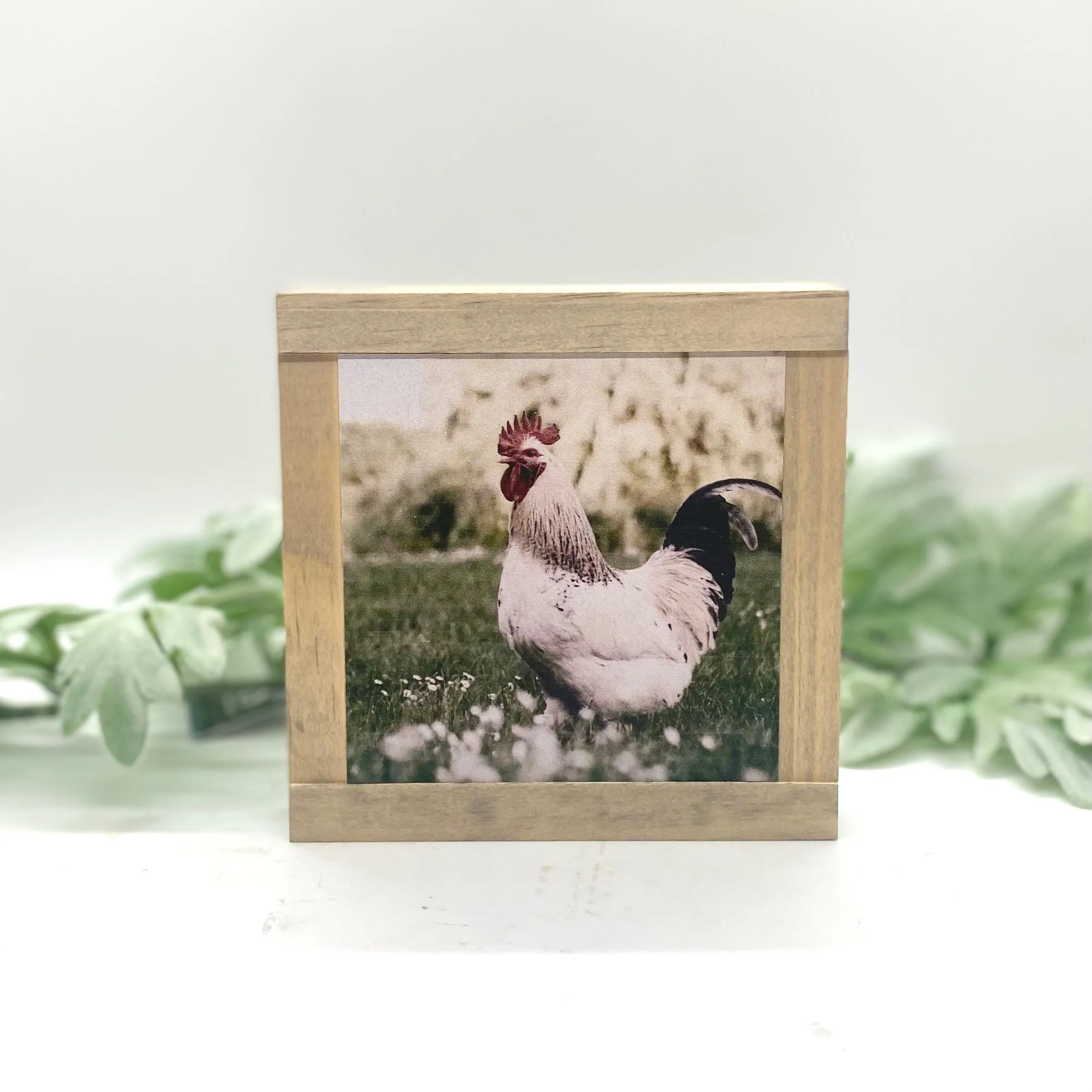 Farmhouse Animals