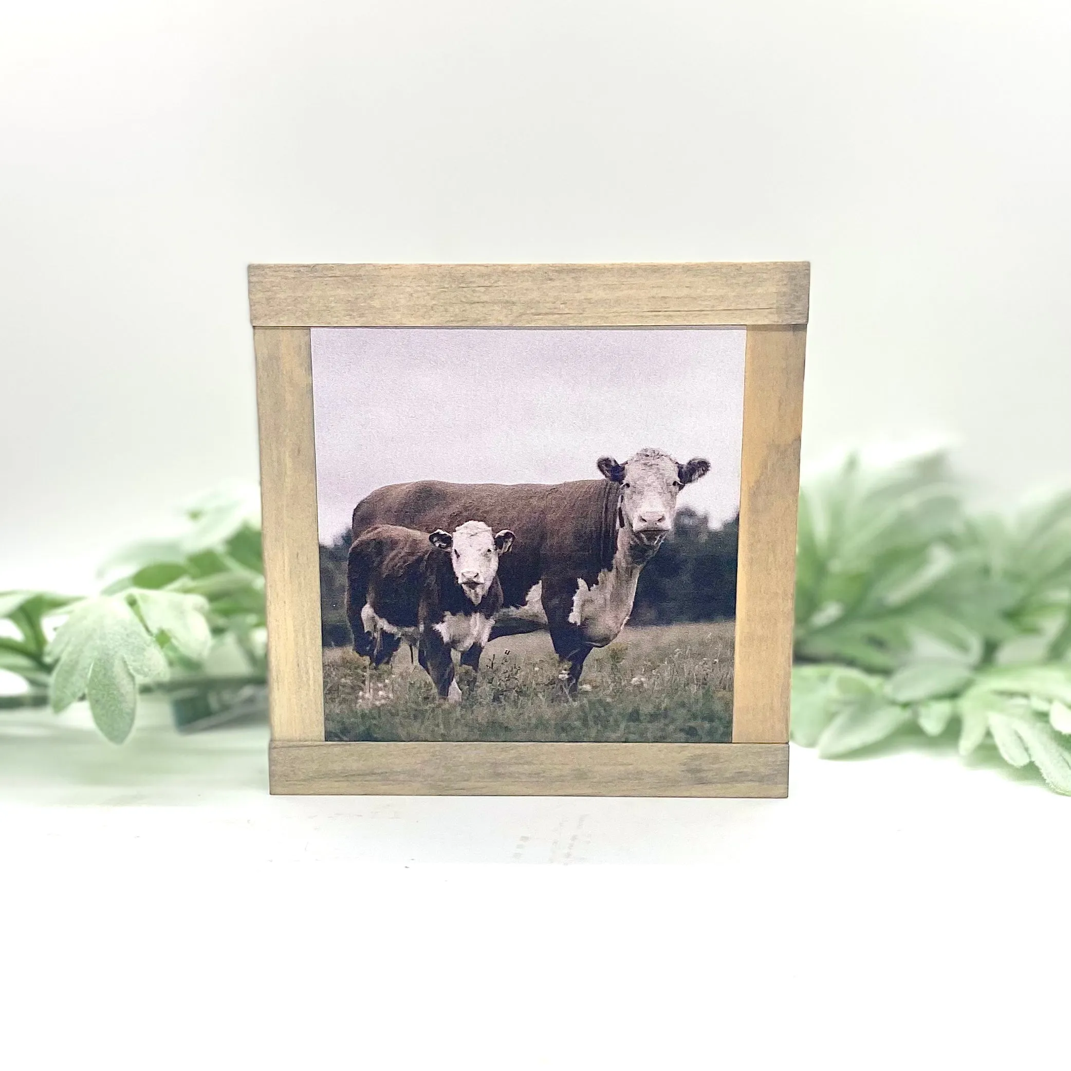 Farmhouse Animals