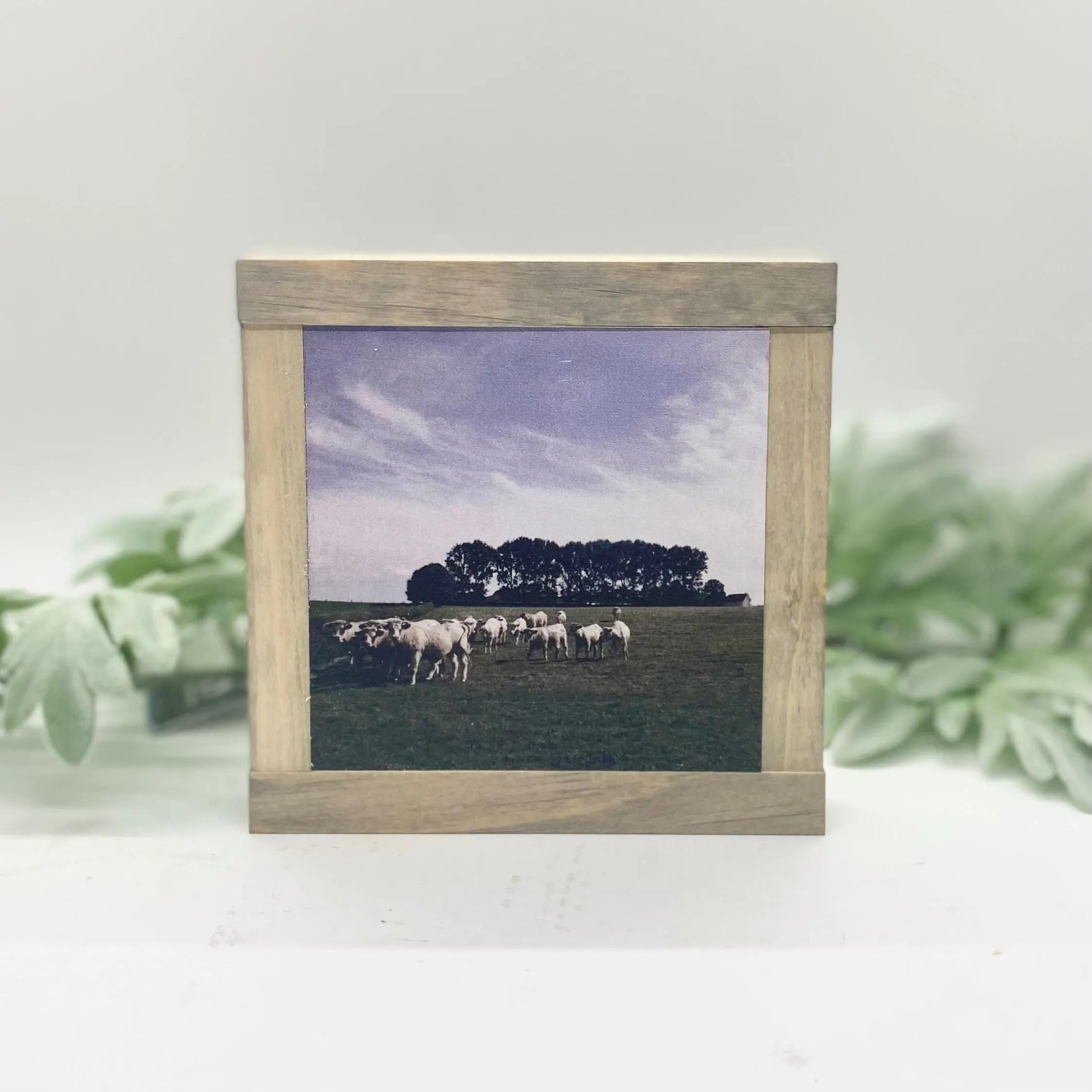 Farmhouse Animals