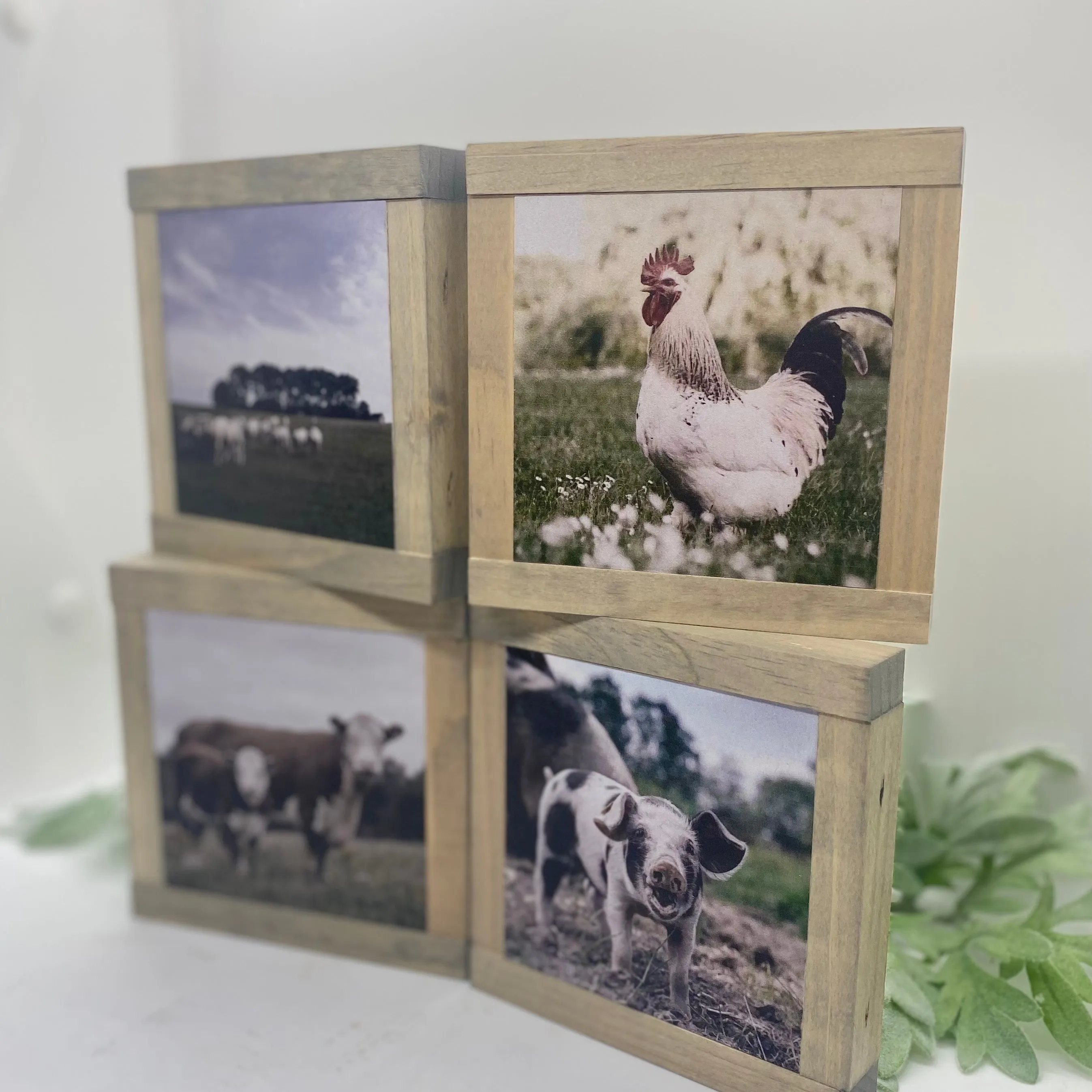 Farmhouse Animals