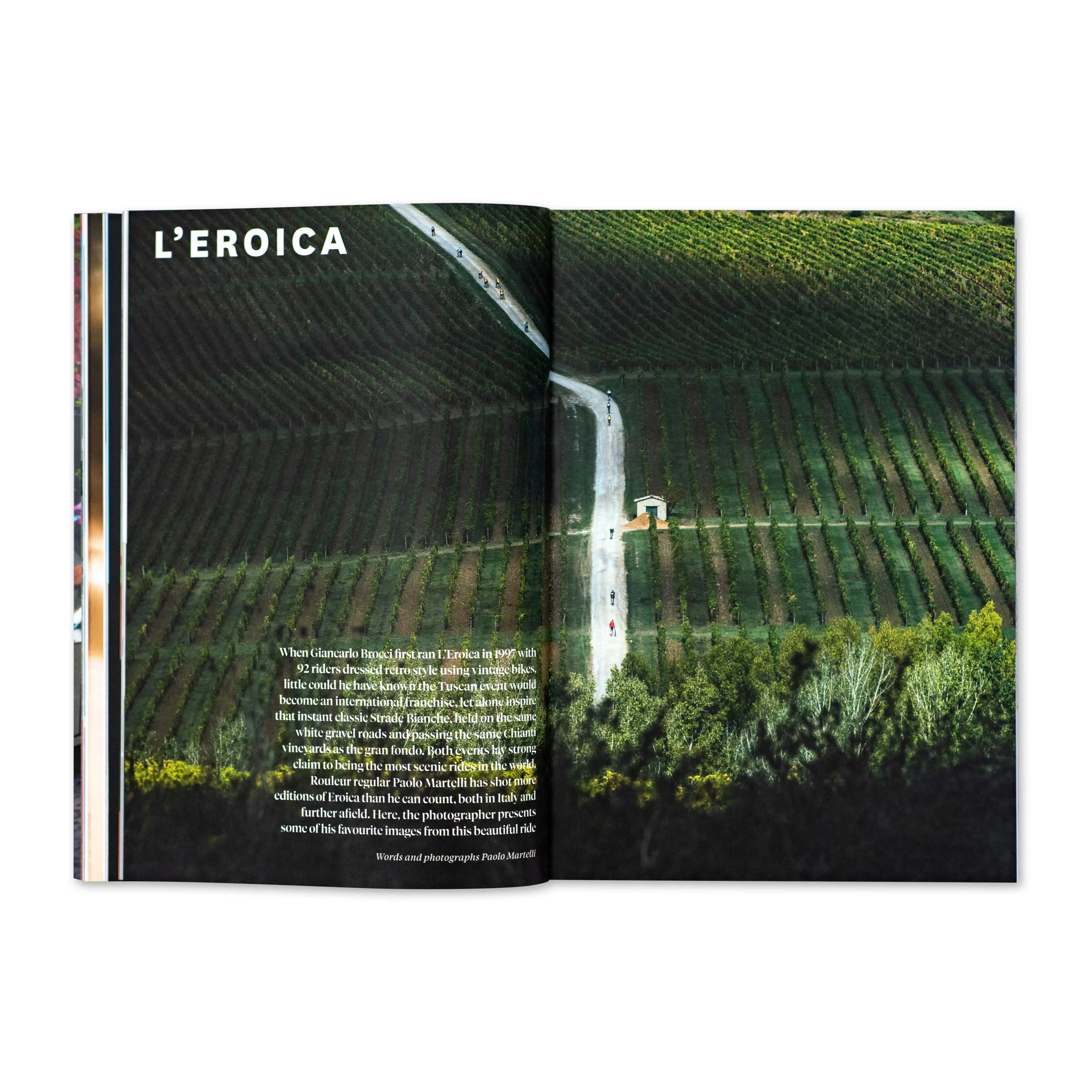 Issue 20.6