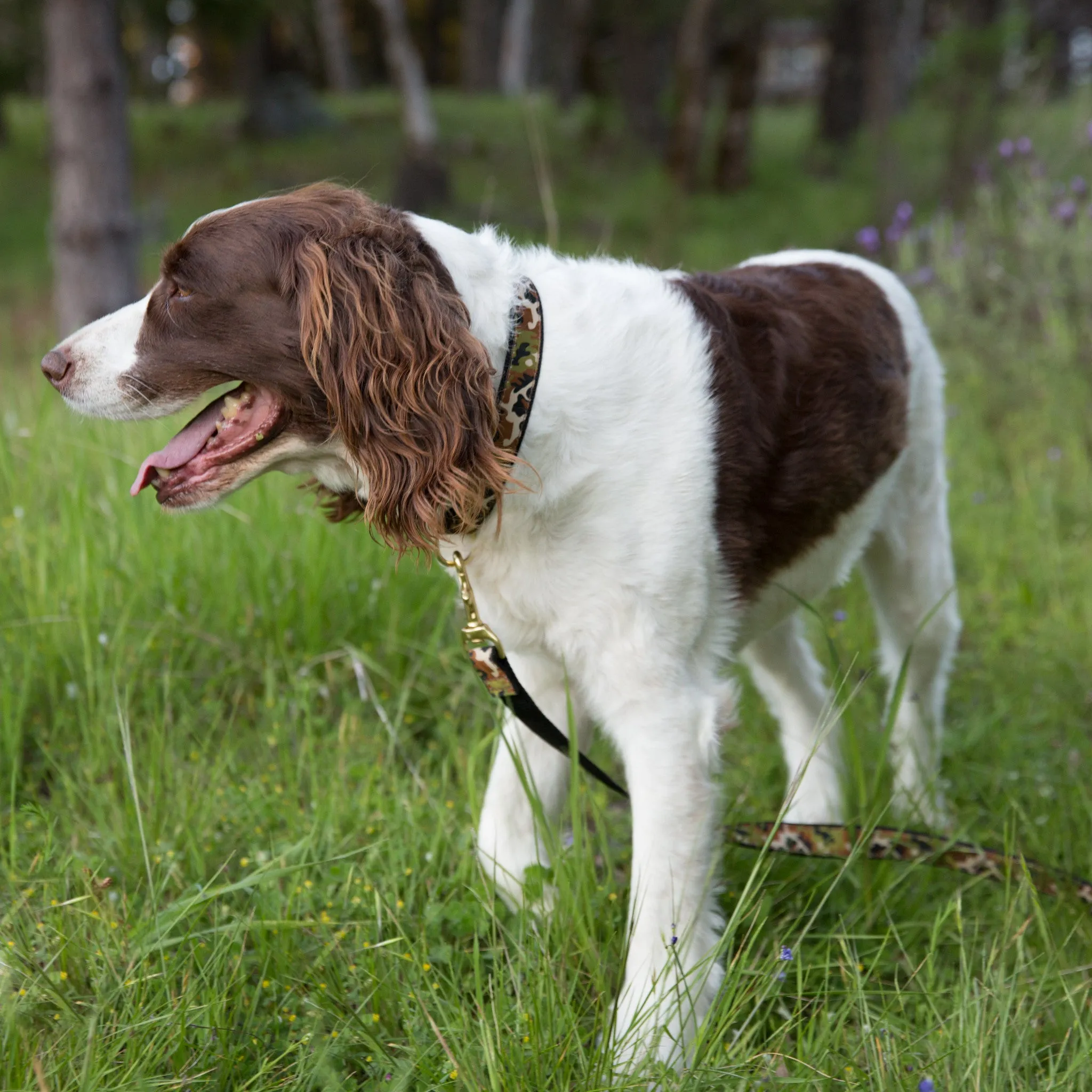 Large Dog Collar: Camo