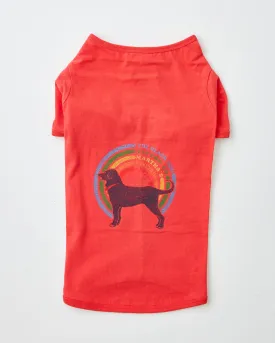 Rainbow Dog Tee for Dogs