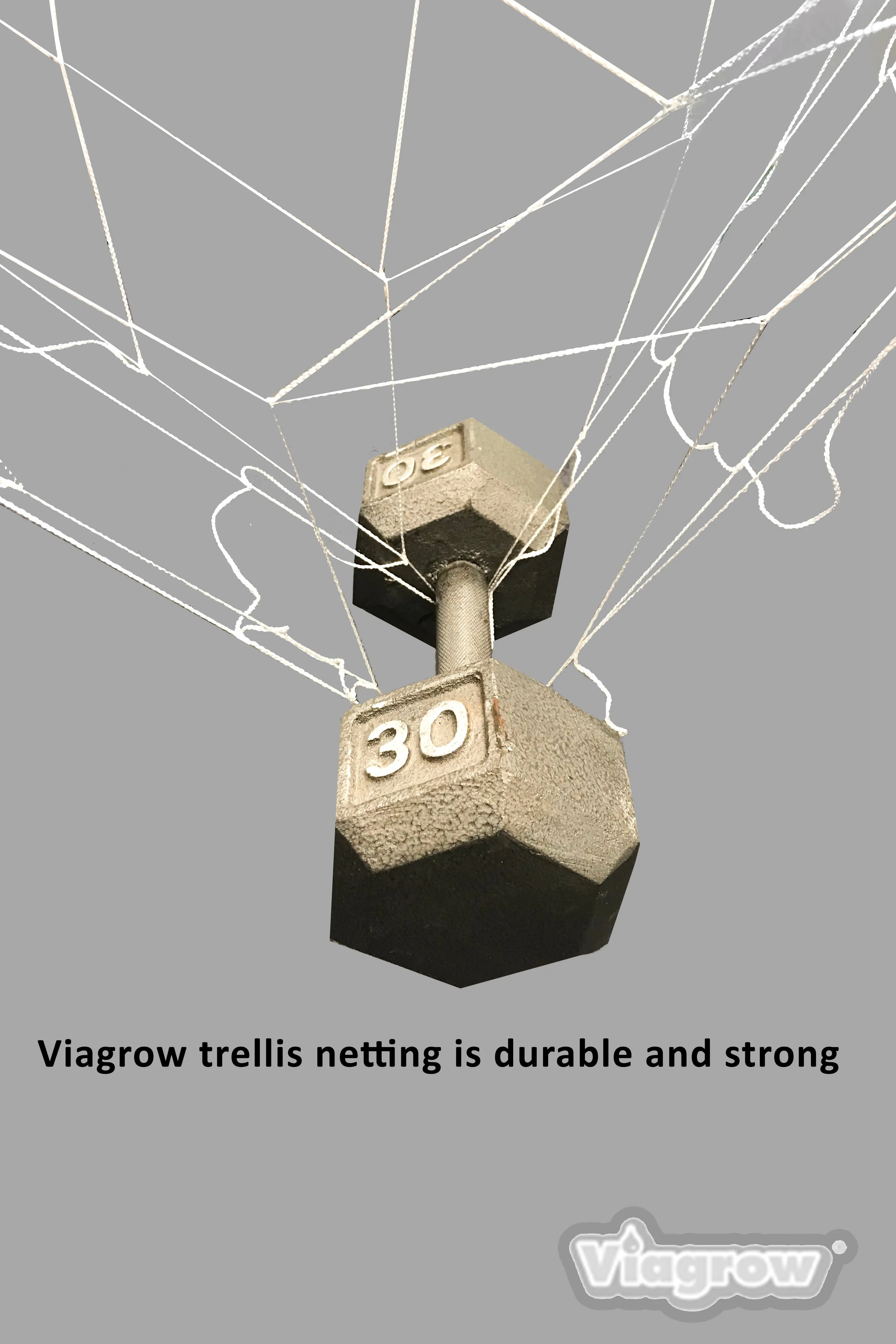 Viagrow Heavy-Duty Polyester Plant Trellis Netting, 5 X 15'