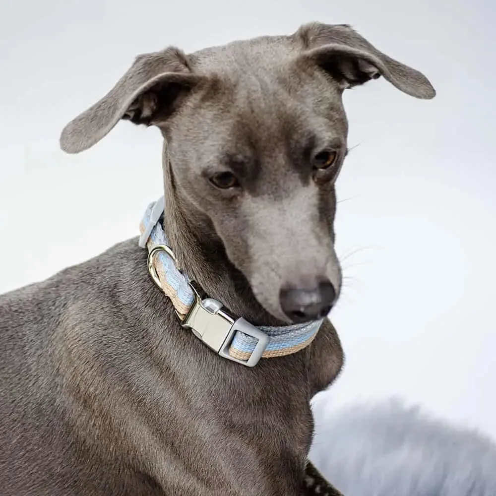Welpen Hundehalsband "Collar Nylon Happy Weekend"