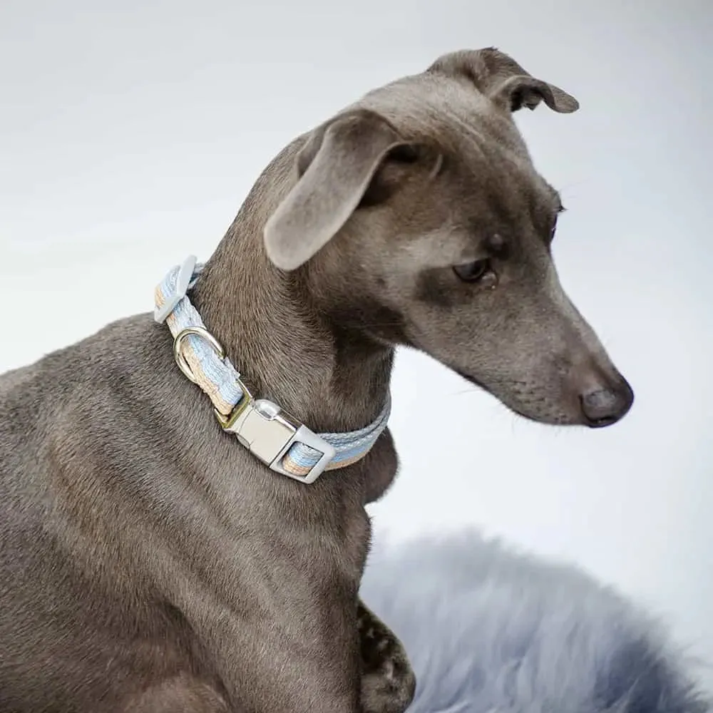 Welpen Hundehalsband "Collar Nylon Happy Weekend"